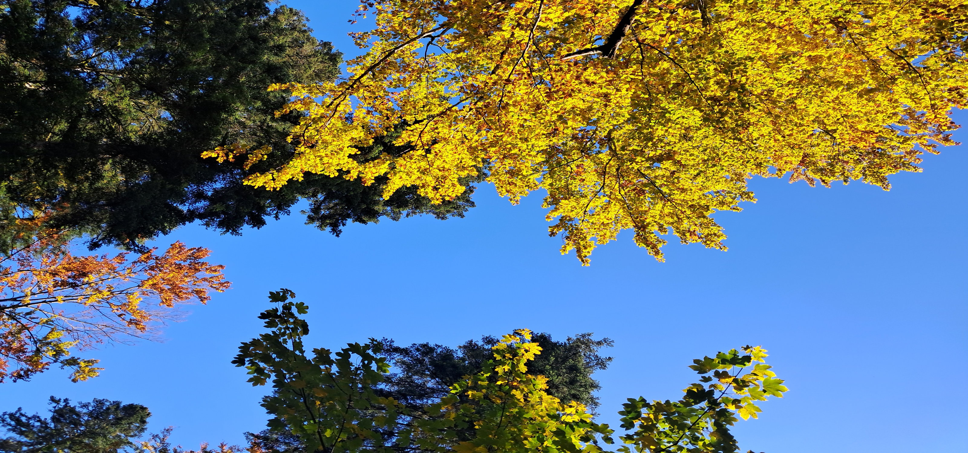 Vue apaisante du cabinet de Nathalie Perrier