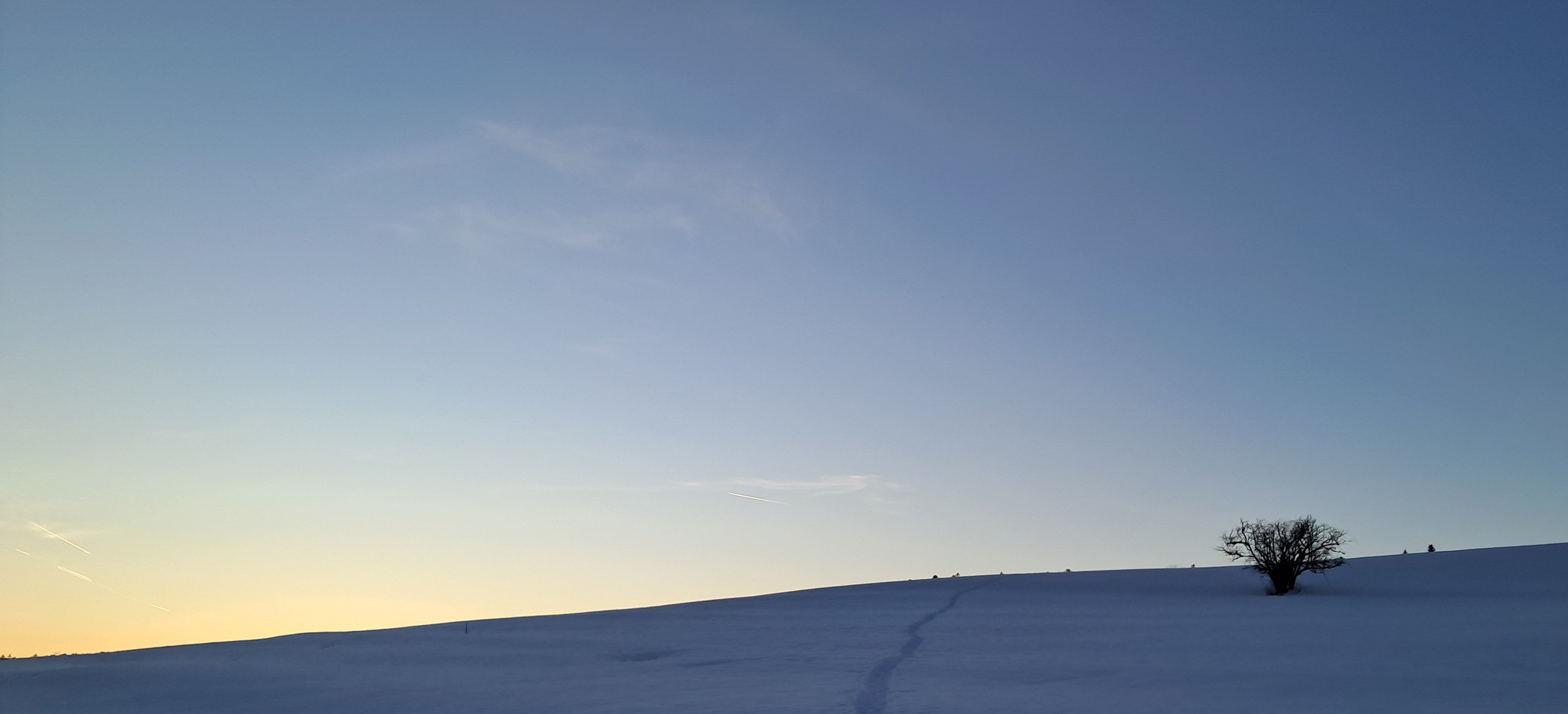 Paysage enneigé au crépuscule avec des traces de pas menant vers un arbre solitaire